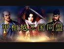 信長の野望PK　一条兼定の野望　第19話　甲相越三国同盟