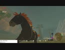 軽い縛りとマスターモードでゼルダの伝説ブレスオブザワイルドpart147。