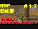 神の試練か・・・受けて立とうじゃねぇか！【ゼルダの伝説 風のタクトHD】＃１7