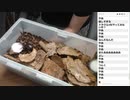 【YouTube】うんこちゃん『カブトムシのメス救出大作戦』【2019/08/24】