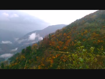 紅葉　BGM
