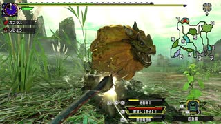 ＭＨＸＸを実況プレイする　その１０