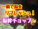 集中力アップ！眠気覚ましには！【夢を叶えるワクワク教室】スーパー発達メンターとスーパーNLPerの親子発達お悩み相談室