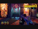 第30回なーさんの「ボーダーランズ3」