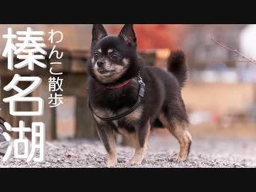 【わんこと散歩】榛名湖