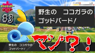 【最速】野生のLV.6ポケが繰り出すゴッドバード！？【ポケモン剣盾#3】