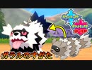 いつものと違う！？新種のジグザグマ発見！！【ポケットモンスターソード Part3】