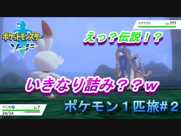 【ゆる縛りプレイ】手持ち６匹だと混乱するから１匹で旅してみた#２【ポケモンソード】【実況】