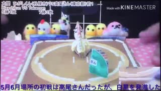 ひがしくん  5月ー6月場所優勝記念動画。