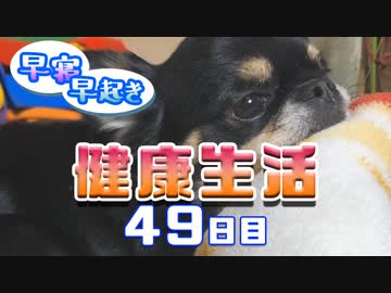 【Minecraft】早寝早起き 健康生活 49日目