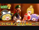 【ゆっくり実況】魔理沙が奇妙なホテルでオバケ退治！ Part8【ルイージマンション3】