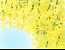 令和元年11/13(水）コミュ記録