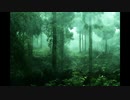 翠雨に濡れる森 ~mysterious forest