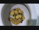 M&M'sとリッツをトイレに流してみた