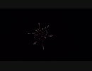 2019.11.16 （愛知）花火甲子園 競技花火②