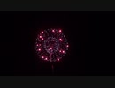 2019.11.16 （愛知）花火甲子園 競技花火①