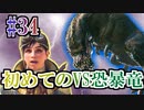 MHP2G勢がMHWIやってみた　その34