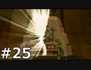 【実況】ゼルダの伝説 風のタクト 実況風プレイ Part25