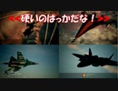 Ace Combat 7 Multiplayer462 バトルロイヤル Su-34