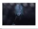 La'miss†fairy- Virgin