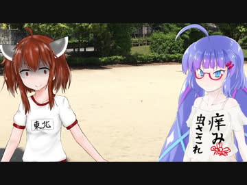 近所の運動会で東北きりたんにお兄さんを賭けて挑む音街【VOICEROID劇場】