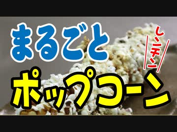 まるごとポップコーン【嫌がる娘に無理やり弁当を持たせてみた息子編】