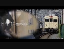 トウブコmosaic