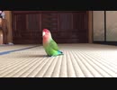 歩くだけ
