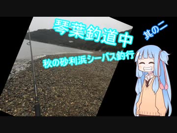 琴葉釣道中　其の2　秋の砂利浜シーバス釣行【VOICEROIDフィッシング】
