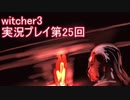 探し人を求めてwitcher3実況プレイ第25回