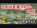 【実況】今年で定年を迎える父をハイラルの大地に放り込むPart12【ゼルダの伝説BotW】