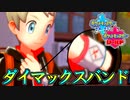 願いの力でダイマックスしよう！【ポケットモンスターソード Part4】