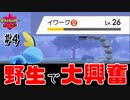 【最速】野生のポケモンに大興奮のワイルドエリア【ポケモン剣盾#4】