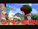 最初のポケモンのみでクリアするポケモンソード#1【ポケモン剣盾】