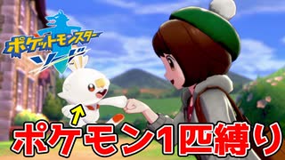 最初のポケモンのみでクリアするポケモンソード#1【ポケモン剣盾】