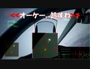 Ace Combat 7 Multiplayer464 バトルロイヤル Su-34 + HCAA