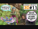思い詰める勇者に対して、涼しい顔で自分の言い分を通してくる相棒…【ドラクエ11s3D#11】イシの村凱旋〜デルカダール神殿入り口まで