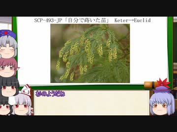 もこけねのSCPで暇つぶし-38