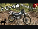 【VOICEROID車載】　カモシカ道　初めての林道(三回目)編