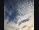 無条件の波動75