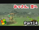【実況】今年で定年を迎える父をハイラルの大地に放り込むPart14【ゼルダの伝説BotW】