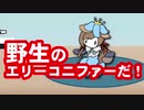 「はわわわわ！」 野生のエリー・コニファーが現れた！