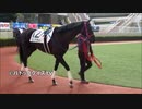 【現地映像】ぶっちぎりで5馬身差で圧勝した馬わかる？　パドッククイズ難易度C
