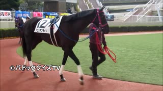 【現地映像】ぶっちぎりで5馬身差で圧勝した馬わかる？　パドッククイズ難易度C