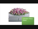Same Day Flower Delivery Chicago IL - Send Flowers | 773-649-5132