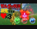 【ブレワイ酔っ払い縛り実況９】神ゲーとか調子にノッてんじゃねぇぇえ!!!ゼルダの伝説ブレスオブザワイルド初見実況。