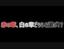 【選択注意】赤の章、白の章どちらを選ぶ!?