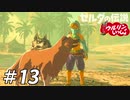 【実況】ウルリンといっしょ＃13｢女装したくなったのでいらっしゃいました｣【BotW】