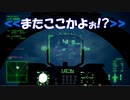 Ace Combat 7 Multiplayer466 バトルロイヤル F-2A