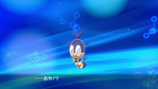 【実況】＊ポケットモンスター シールドを初見のんびりプレイ(ワイルドエリア編)＊【Part8】